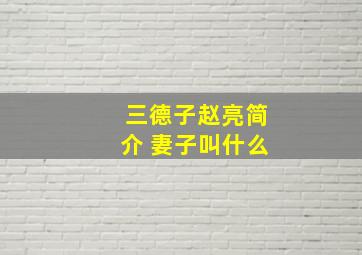 三德子赵亮简介 妻子叫什么